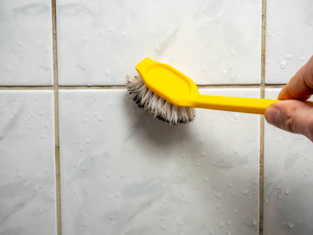 Mold Removal Process in Plymouth Meeting, PA