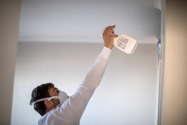 Mold Testing and Removal in Plymouth Meeting, PA